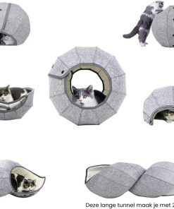 Alternative view of Nalu bol